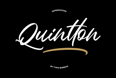 Quintton - script font branding brush lettering clean style design fonts logo type design typeface typography