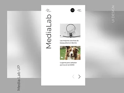 UI Media Lab app cdmx dog medialab mexico mobile panamericana responsive design ui ui ux ui design up ux