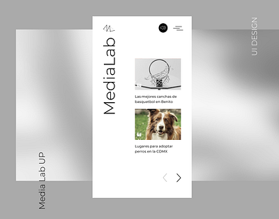 UI Media Lab app cdmx dog medialab mexico mobile panamericana responsive design ui ui ux ui design up ux
