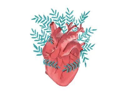My heart ❤️ dailyui heart illustration leaves nature nature illustration nature love ui uiux uiux design ux