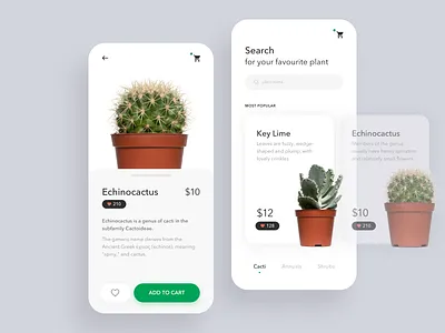 Plants alchemy cacti cactus design plants ui ui design uiux