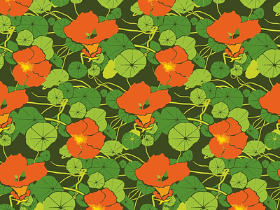 Nasturtium