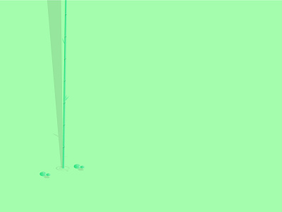 Bambooo bamboo eco illustration minimalism nature vector