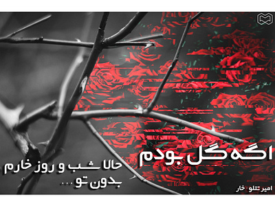Amir Tataloo amirtataloo design edit flower graphic graphic design singer tataloo typography