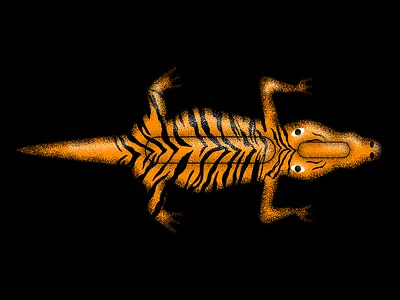 🐊🐅 brush design flat grainy illustration vector