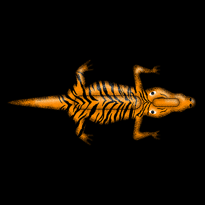 🐊🐅 brush design flat grainy illustration vector