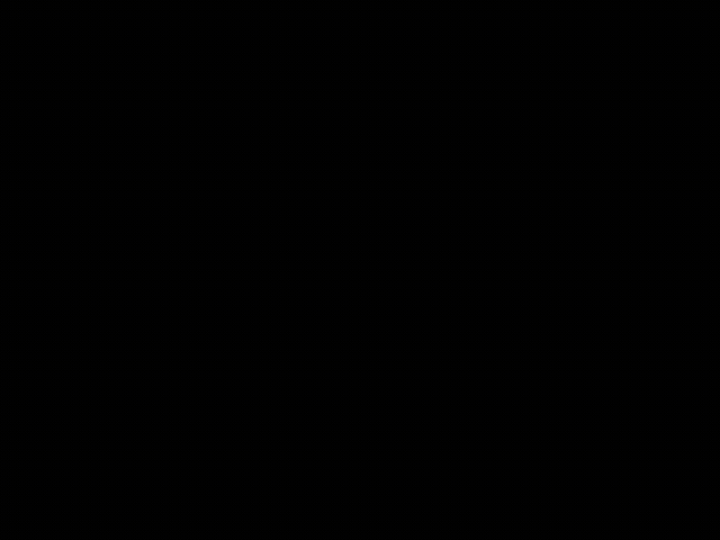Summer Waves Final animation branding logo typography