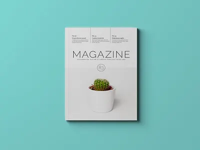 Multipurpose Magazine Template indesign template magazine magazine cover magazine design