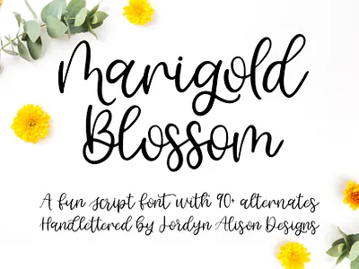 Marigold Blossom, Hand Lettered Script Font branding design font font design font designer hand lettered hand lettered font hand lettering logo script font typography vector