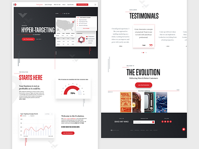 Hyper Targeting Landing Page data data visualization design hypertargeting marketing agency marketing site ui user interface ux web design webdesign website website design