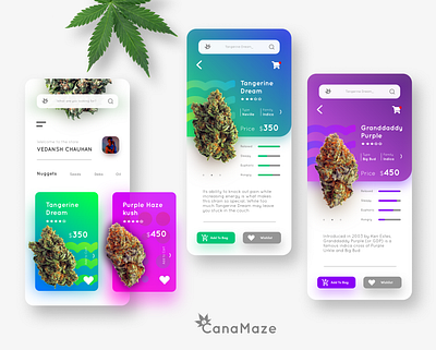 CanaMaze - A marketplace for medical Marijuana app design flat lettering minimal typography ui ux vector web