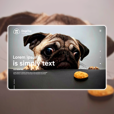 Dogs Tog / Funny Culture website