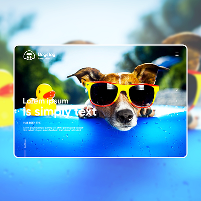 Dogs Tog / Funny Culture website