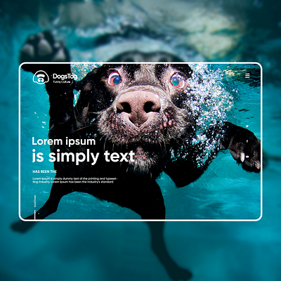 Dogs Tog / Funny Culture website website design