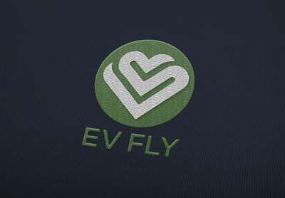 EV FLY brand identity branding design graphic design graphics icon illustration logo logo design typography