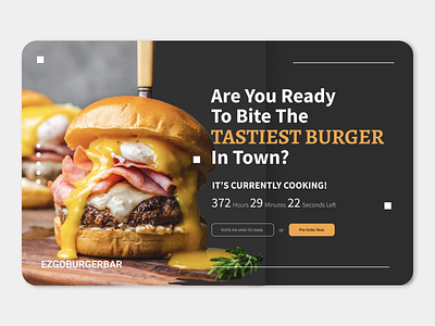 Daily UI #3 Food burger dailyui food inspiration