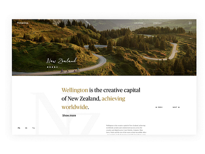 Travel website / Motion animation clean clean design concept creative design desktop interactive landing page layout minimal motion travel typography ui ux web web website