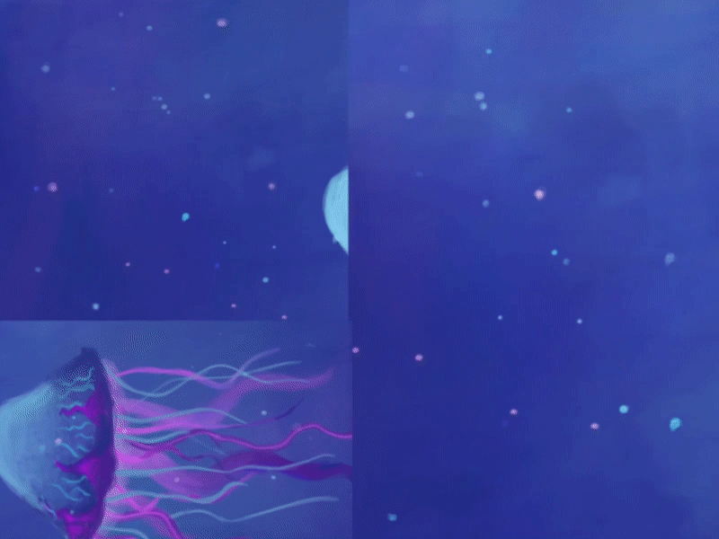 Sad Jellyfish aftereffects animated animation art artwork design illustration motion design sad