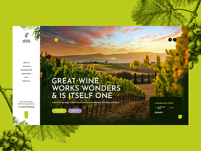 Around the Wine 🍷🍇 airbnb booking grape illustration landingpage onepage poland sketch theme travel trip ui ux web webdesign webdesigner website wine wineyard wordpress