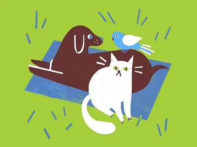 Pretty Picture Club – pets theme animal drawing character children book children book illustration cute design digital illustration dog illustration summer