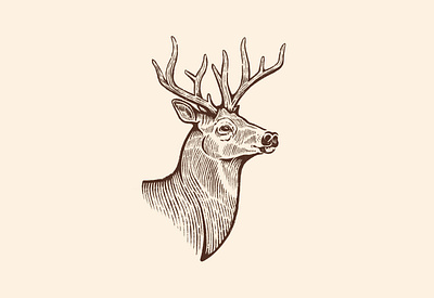 Deer animal antlers buck bust deer illustration procreate rusty nib sketch stag