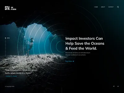 Save the Ocean! Website Design black branding clean dark design design designer flat inspiration investors ocean ocean life photography responsive ui ui designer ux web design webdesign website website design