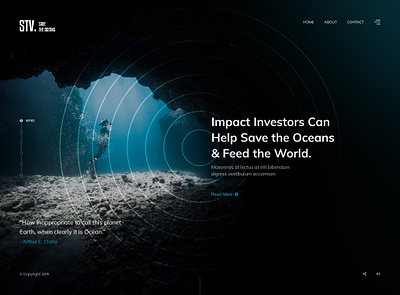 Save the Ocean! Website Design black branding clean dark design design designer flat inspiration investors ocean ocean life photography responsive ui ui designer ux web design webdesign website website design