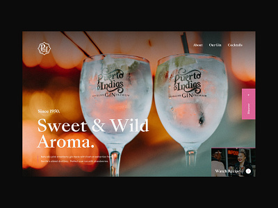 Puerto De Indias Gin Homepage Concept alcohol alcohol branding brand design branding clean drink home page homepage minimal minimalistic neon neon sign photography typography ui ux web webdesign website
