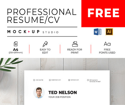 Free Professional Resume/CV ai resume clean cv cv design design free illustrator modern ms word resume professional resume word