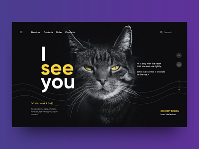 Concept Design cat concept design ui ux