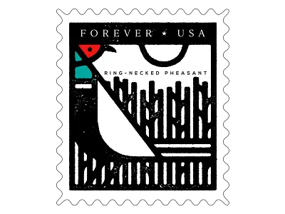 Pheasant Stamp animal bird design icon illustration pheasant south dakota stamp vector