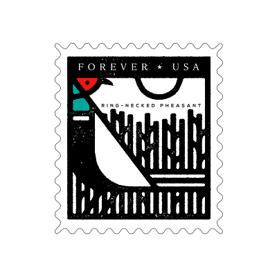 Pheasant Stamp animal bird design icon illustration pheasant south dakota stamp vector