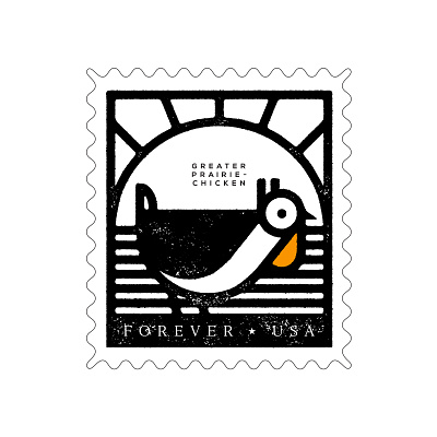 Prairie Chicken Stamp animal bird chicken design icon illustration prairie south dakota stamp vector