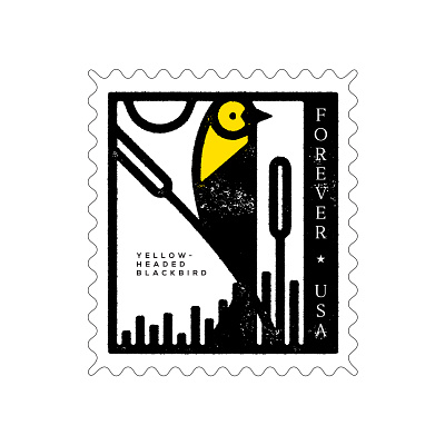 Blackbird Stamp animal bird blackbird design icon illustration south dakota stamp vector