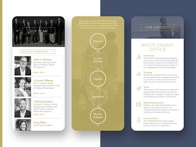 Tolleson Wealth Management branding branding design client work design mobile ui uidesign ux web website