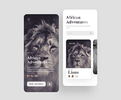 African Adventures app app design design interaction interaction design interface minimal ui uidesign ux