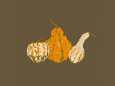 Gourds design digital illustration drawing illustration procreate procreate app