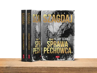 Book Cover - Misfortune man case book book cover cover cover design cover layout design novel