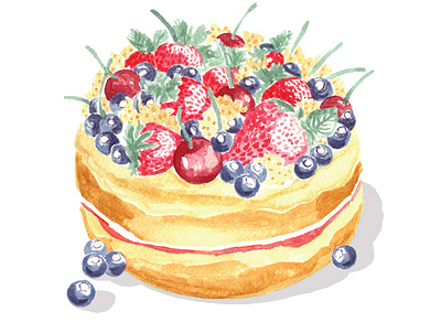 Sponge Cake editorial editorial illustration food food editorial food illustration illustration illustration design illustrator paint painting pretty traditional traditional illustration vintage watercolour watercolour painitng watercolour paint watercolours