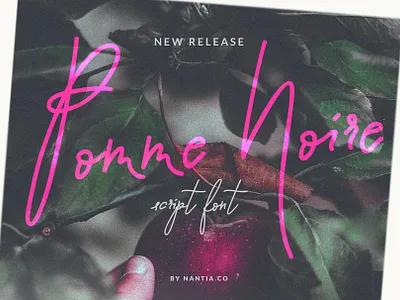 Script Font Pomme Noire greek font handwritten font nantiaco fonts