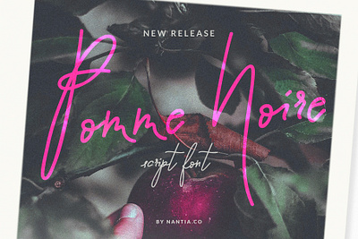 Script Font Pomme Noire greek font handwritten font nantiaco fonts