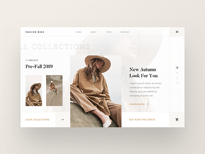 Fashion ui ux web