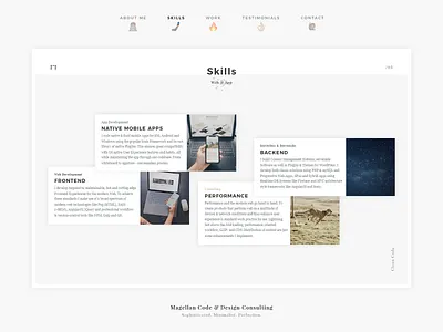 Freelancer Flyer - Skills - Page III apps backend designer developer flyer freelancer frontend illustration magellan representation screendesign skills ui webdesign