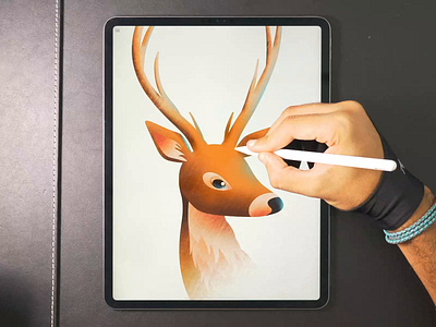 Deer illustration