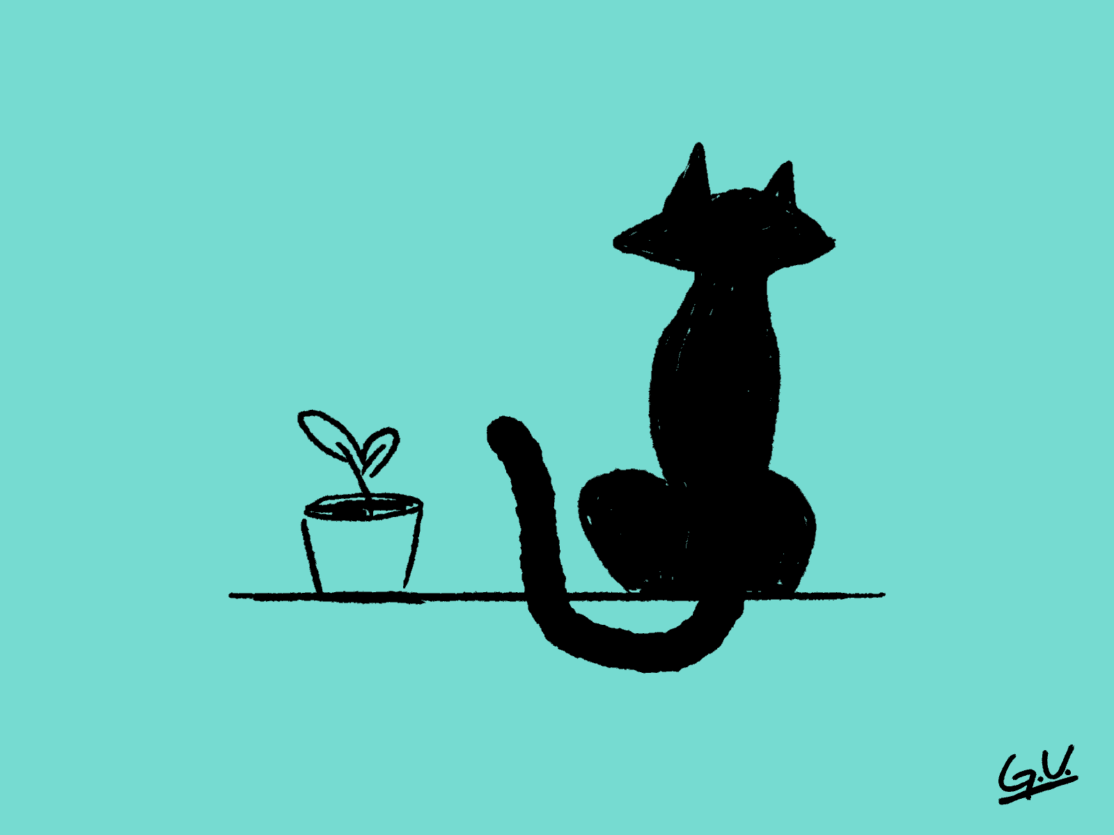 Cat animation black cat cat design illustration plant