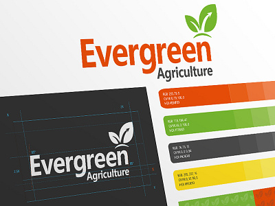 Evergreen brand brand design branding branding design design logo logo design logodesign logotype