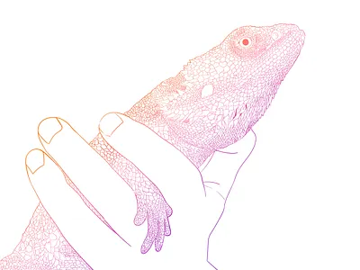 Lizard Friend animal art bearded dragon hand illustration lines wacom