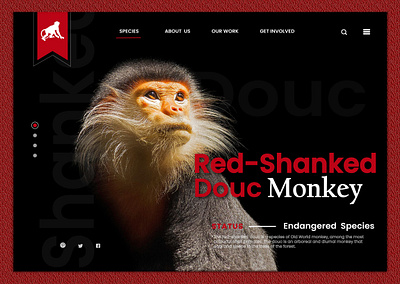 WEB PAGE animalplanet animals details landing design landing page design monkey monkeys species ui ux ui