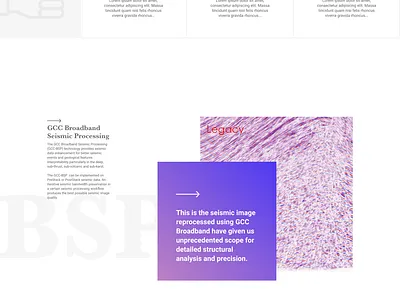 GCC bussiness company app design ui ui ux design