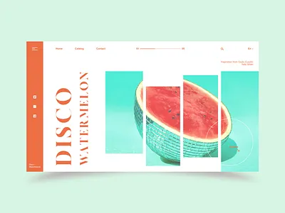 Disco Watermelon blue design landingpage minimal orange typography ui uidesign ux uxdesign watermelon web webdesign website